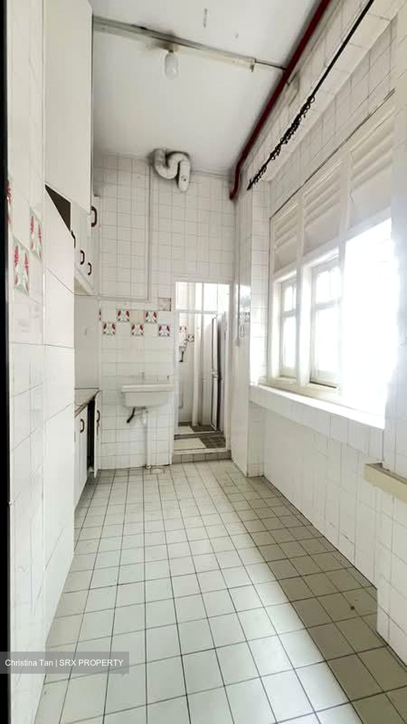 Sago Street (D1), Shop House #534719801
